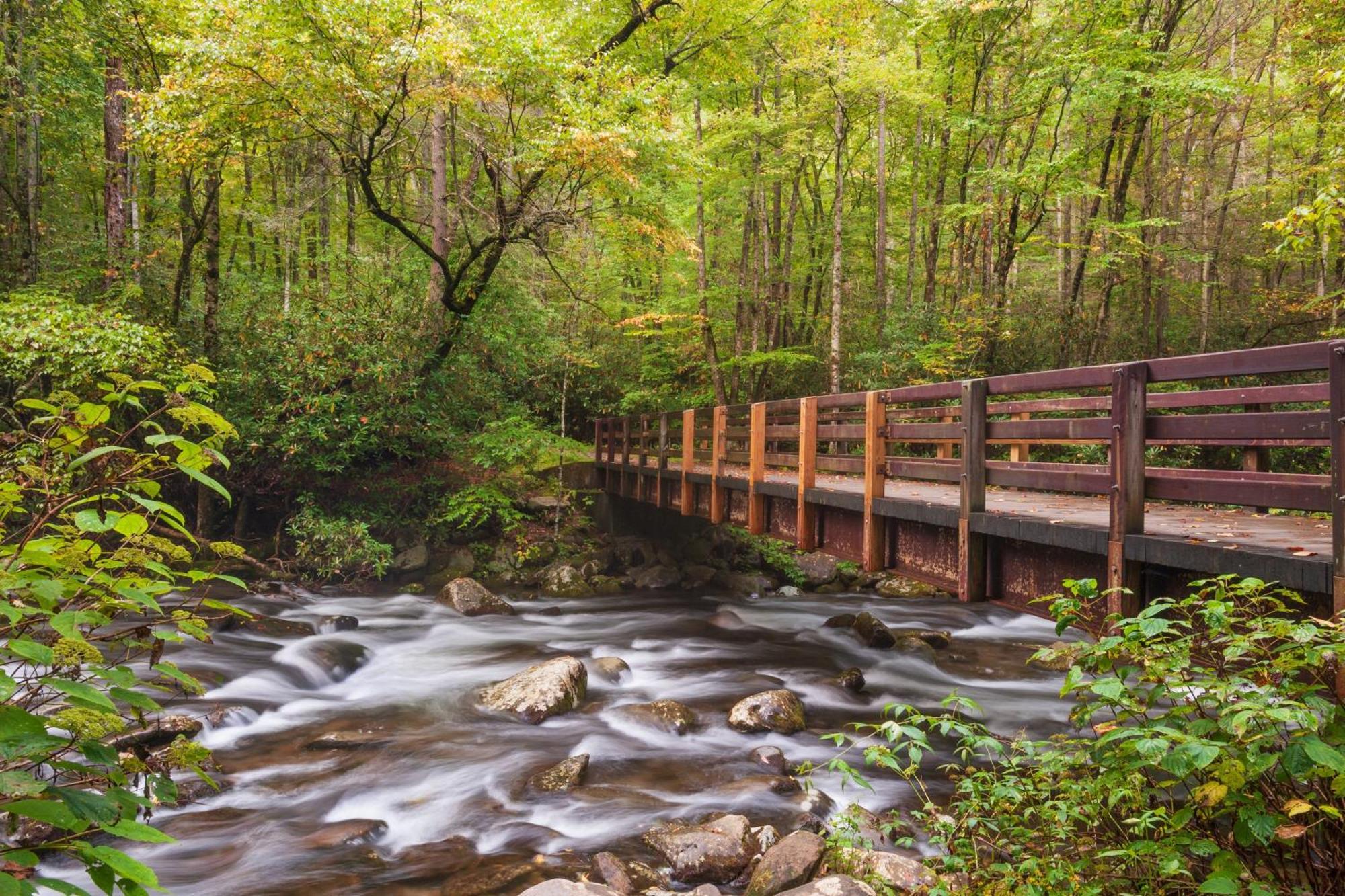 Whispering Winds, Hot Tub, Game Room, Wifi, 1089 Free Tickets Each Paid Day, Dollywood And More Gatlinburg Εξωτερικό φωτογραφία